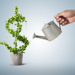 Man watering plant