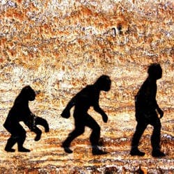 Evolution of man