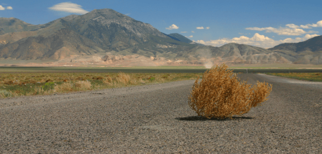 Tumbleweed