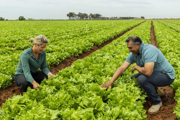 Meet Victoria’s $30 million agribusiness owner Catherine Velisha